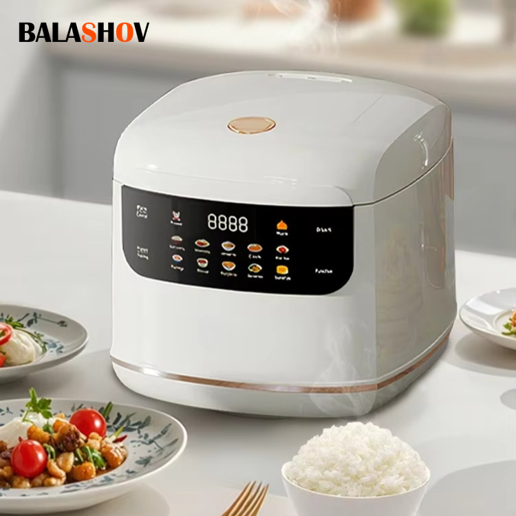 MultiCooker Electric Rice Cook - Rice Cooker 10 Cup 리뷰 및 가격