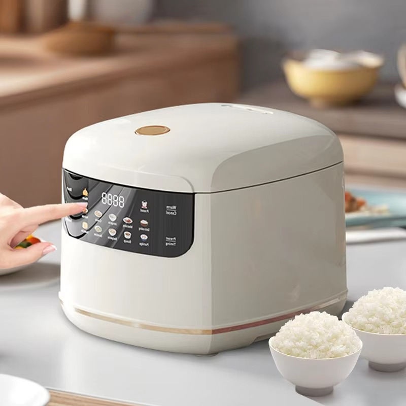 MultiCooker Electric Rice Cook - Rice Cooker 10 Cup 리뷰 및 가격