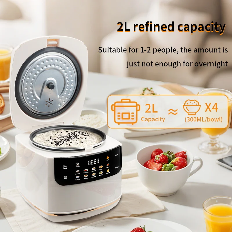 MultiCooker Electric Rice Cook - Rice Cooker 10 Cup 리뷰 및 가격