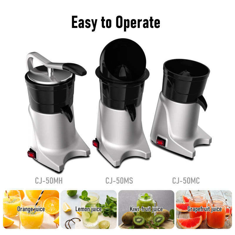 Kitchen Appliance Blender and  - Kitchen Appliances In 리뷰 및 가격